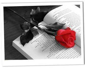 Rose e Libri per San Giorgio