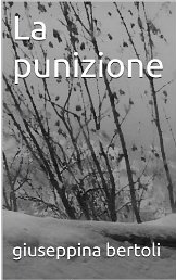 La Punizione, un romanzo di Giuseppina Bertoli